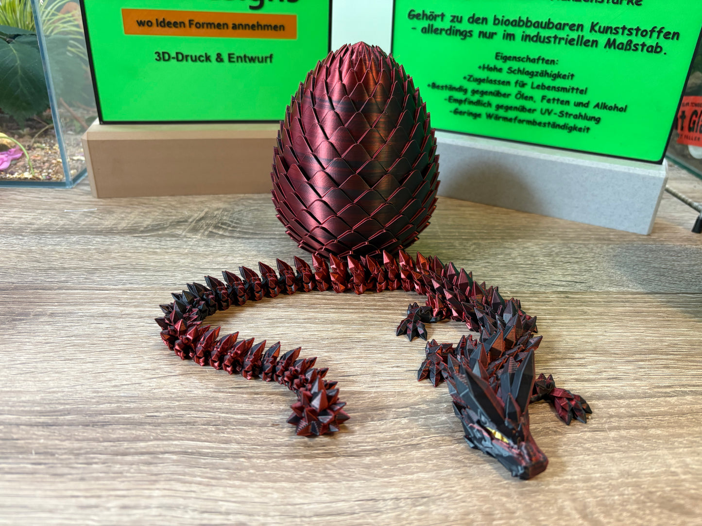 Drache im Ei