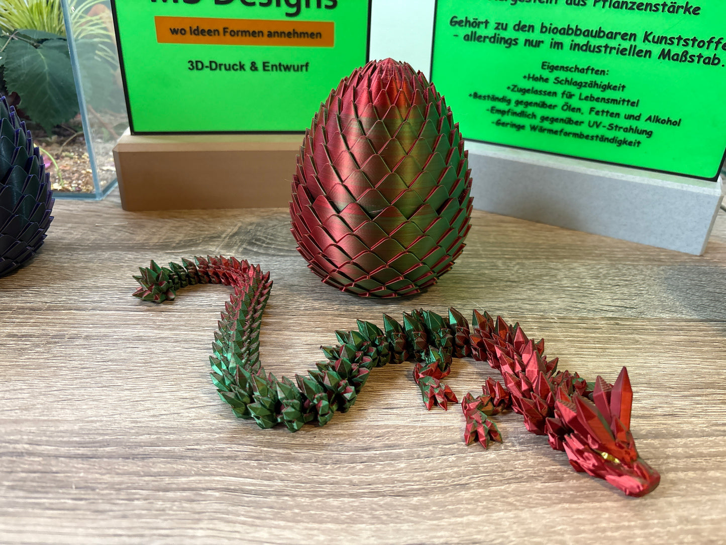 Drache im Ei