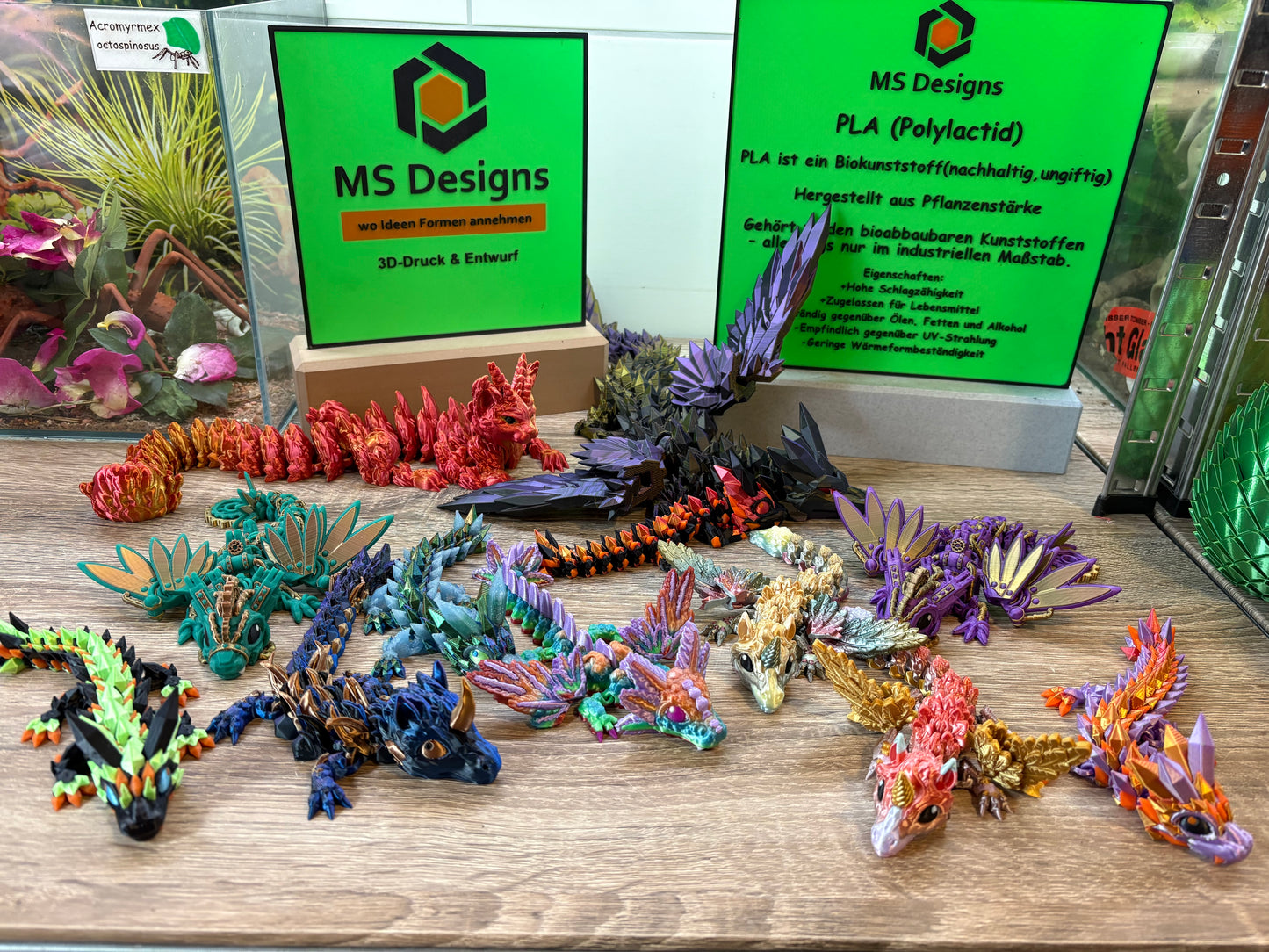 Babydrachen, klein und beweglich, mehrfarbig