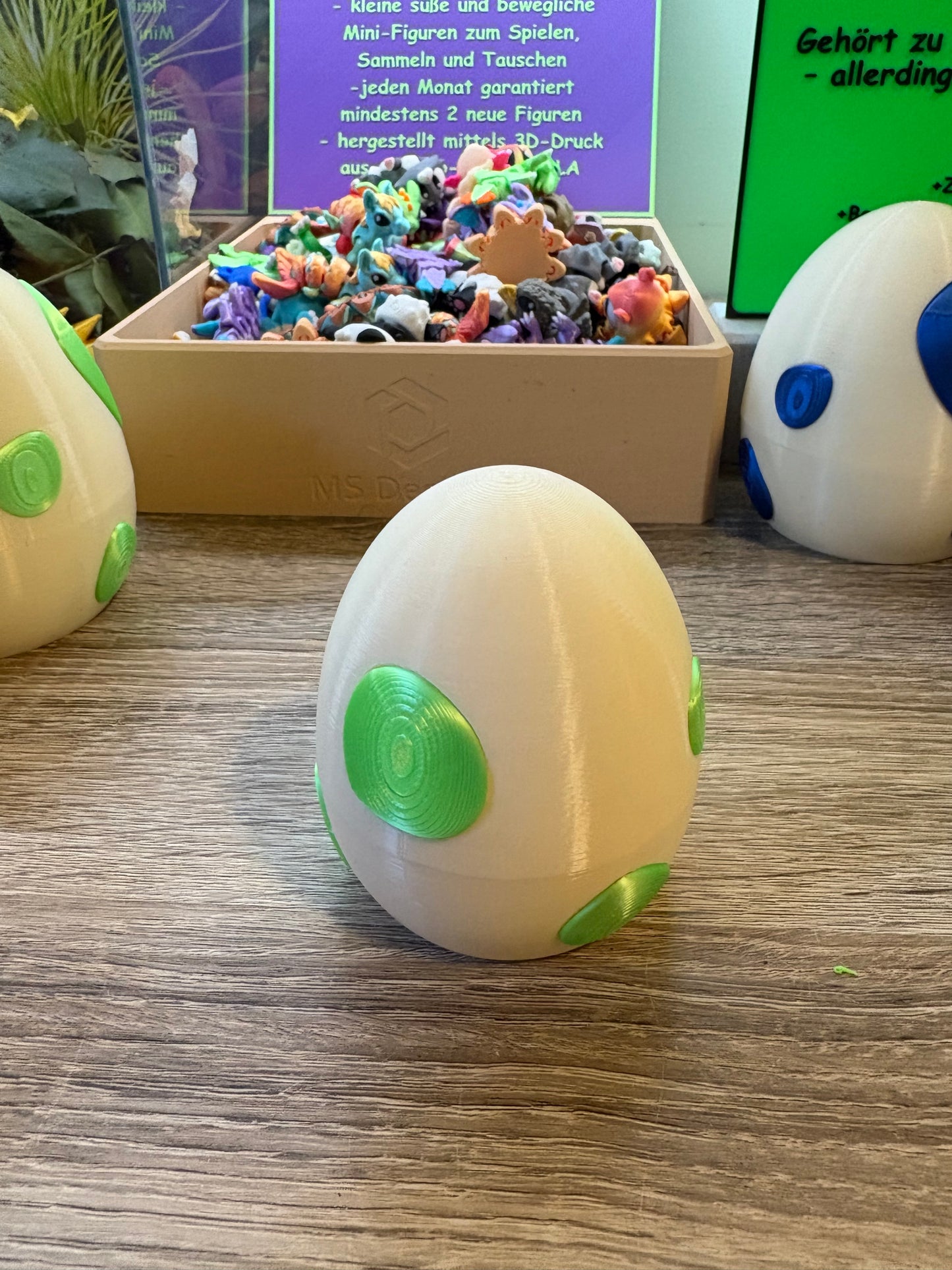 Eier Hatchlings