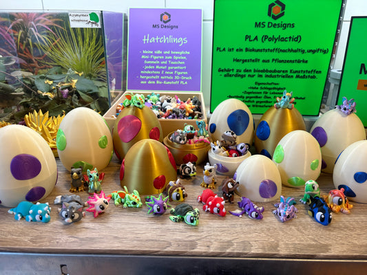 Eier Hatchlings