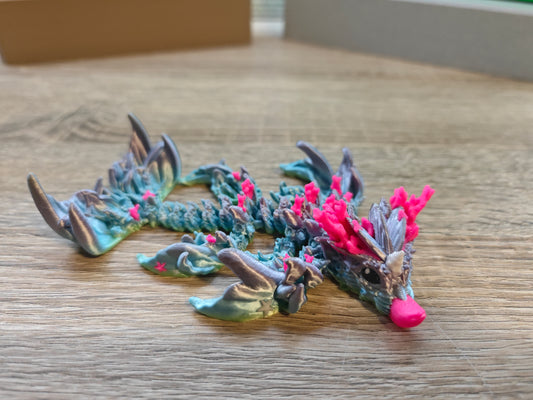 Korallen Drache Baby